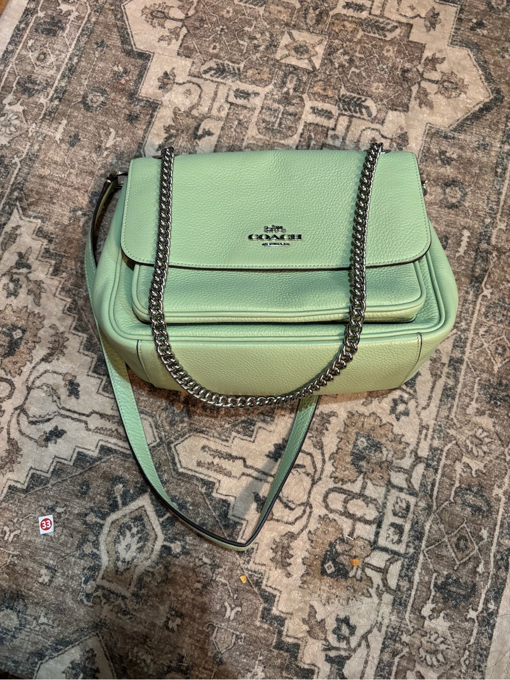 Coach Mint Green Leather Shoulder Bag with Chain Strap